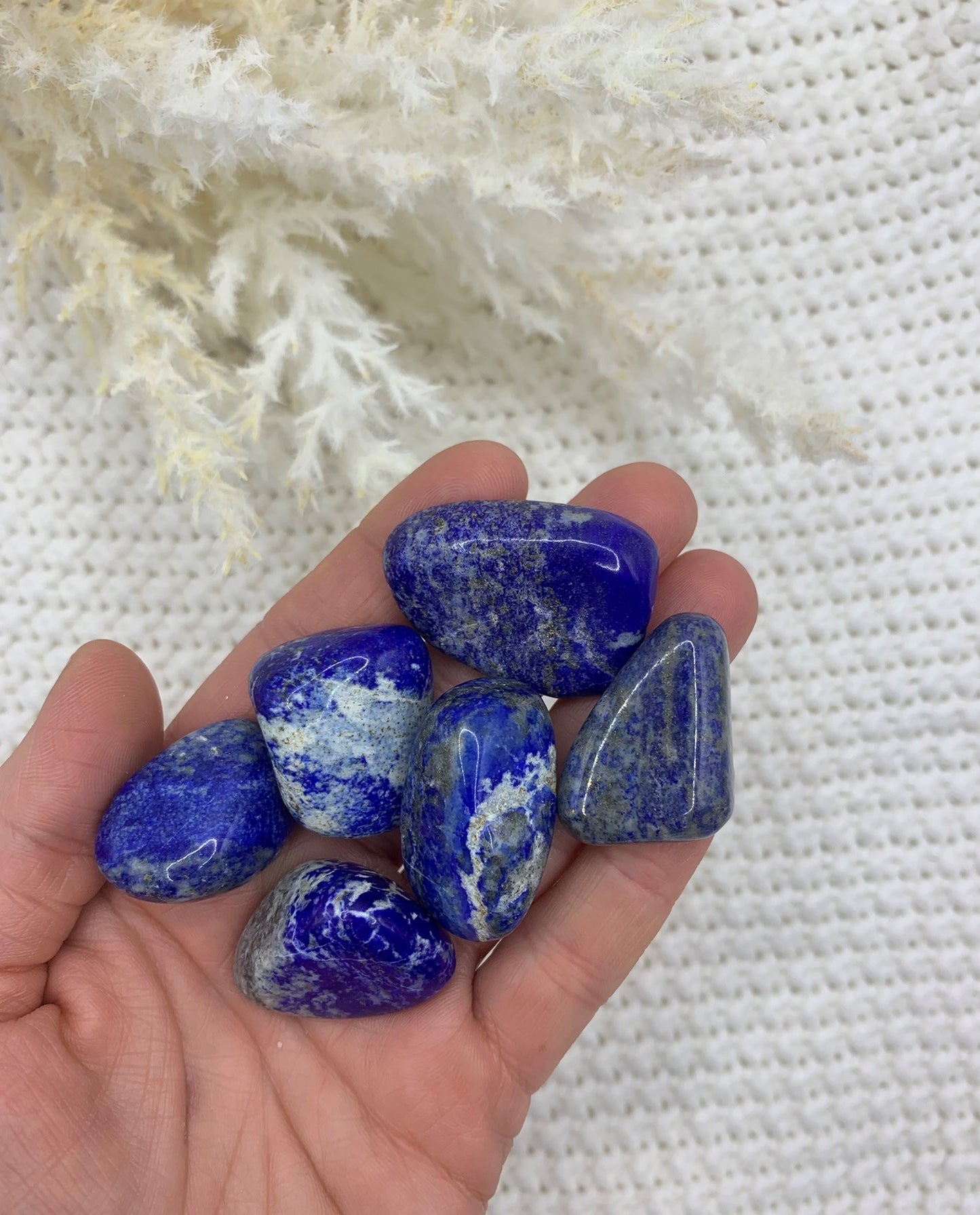 Lapis Lazuli - Tumbled - Truth | Enlightenment | Peace