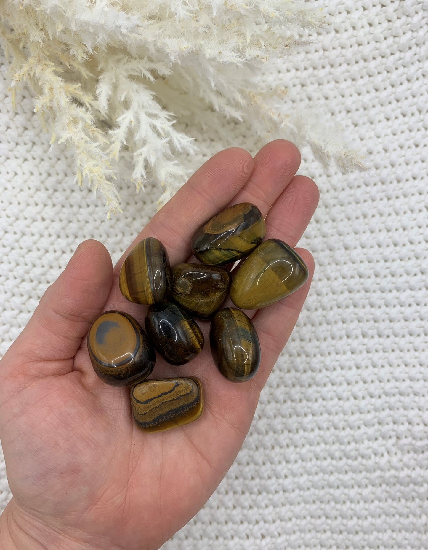 Tigers Eye - Tumbled - Protection | Courage | Clarity