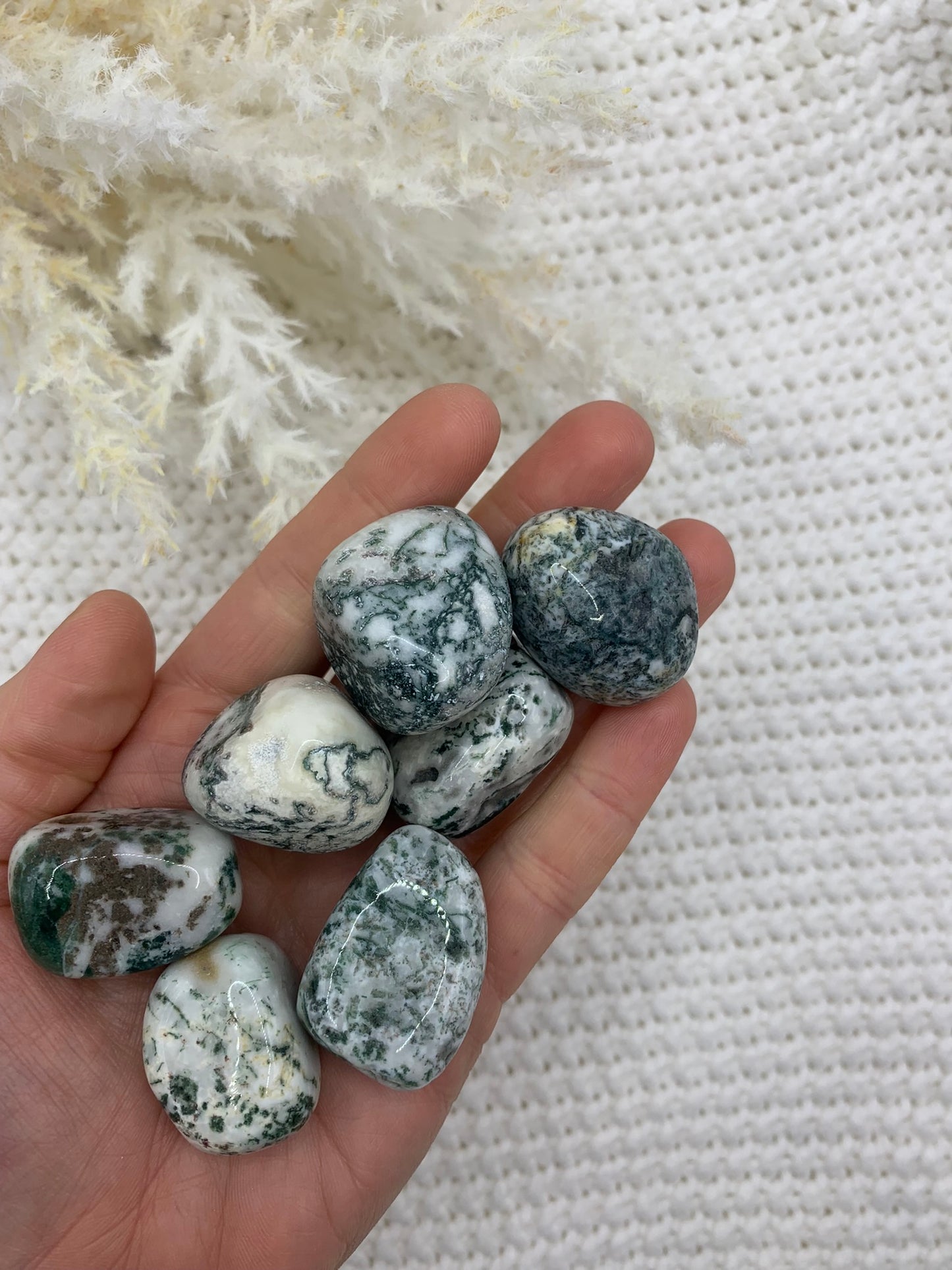 Tree Agate - Peace | Connection | Growth